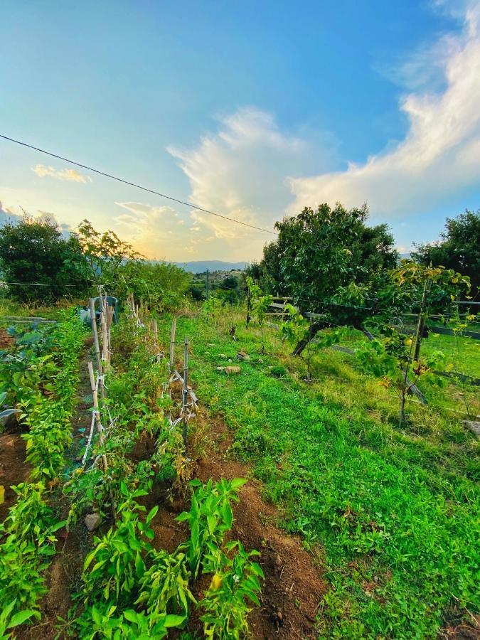 Locanda Tipica Sa Corte Oliena Luaran gambar