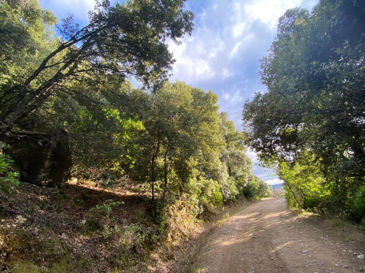 Locanda Tipica Sa Corte Oliena Luaran gambar