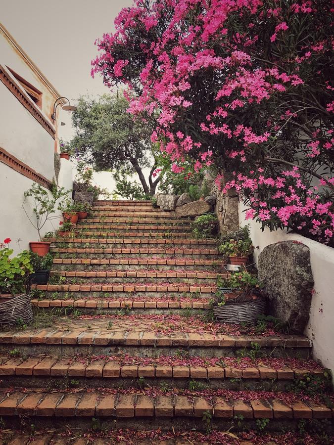 Locanda Tipica Sa Corte Oliena Luaran gambar